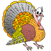 Happy Thanksgiving Everyone!